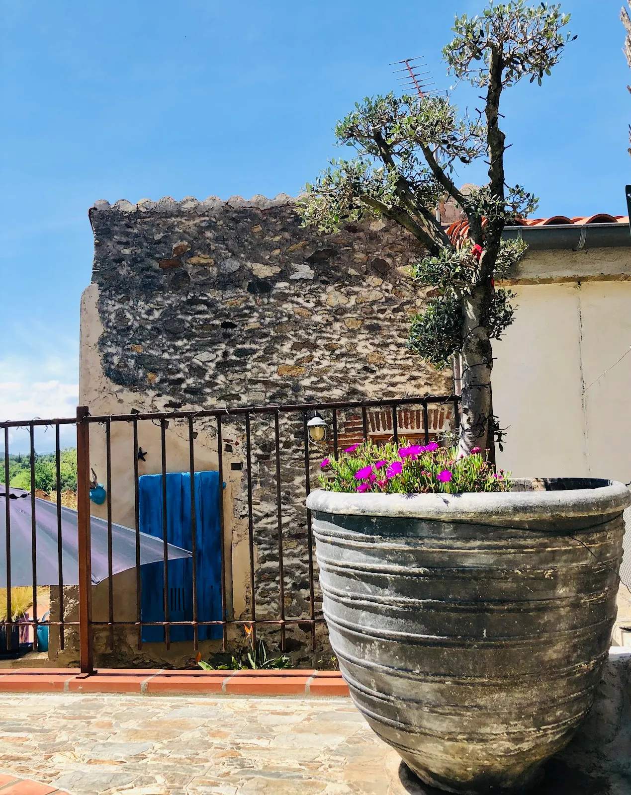 Gîte "Le Mas des Albères" piscine privative proche Collioure Thermes du Boulou dans les Pyrénées Orientales 66 — photo 1