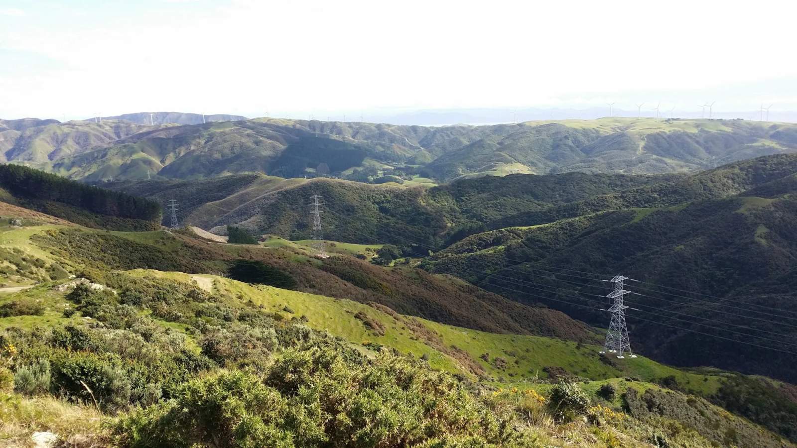 Johnson Hill Scenic Reserve — photo 2