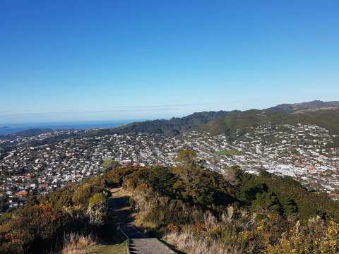Johnson Hill Scenic Reserve — photo 3