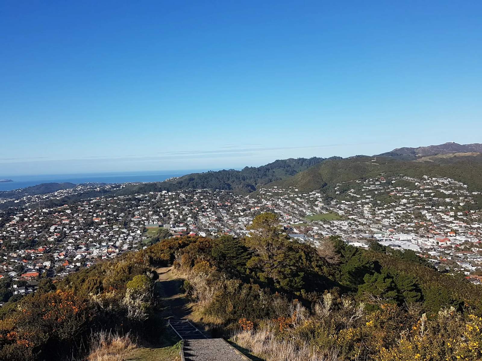 Johnson Hill Scenic Reserve — photo 3