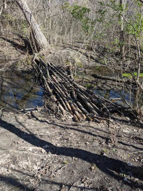 Grootemaat Nature Preserve — photo 3