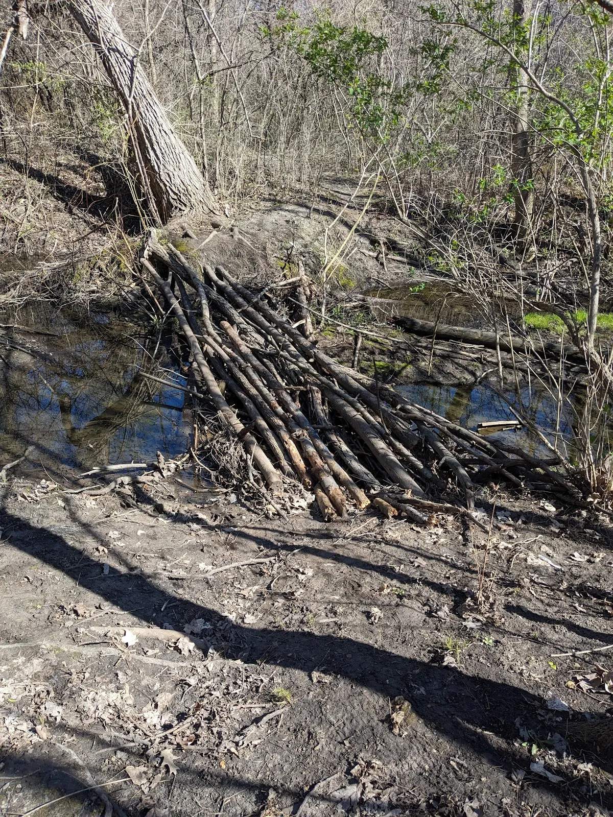 Grootemaat Nature Preserve — photo 3