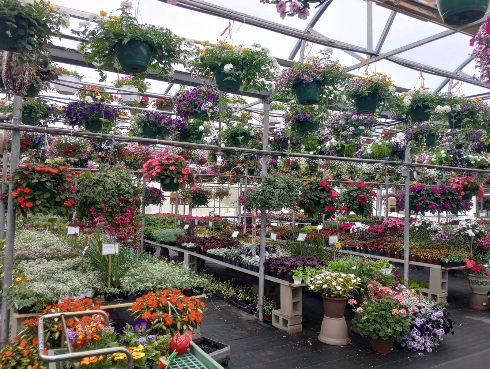 Heyden's Gardens — photo 3