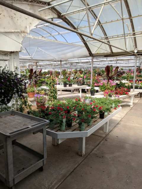 Moraine Gardens — photo 2