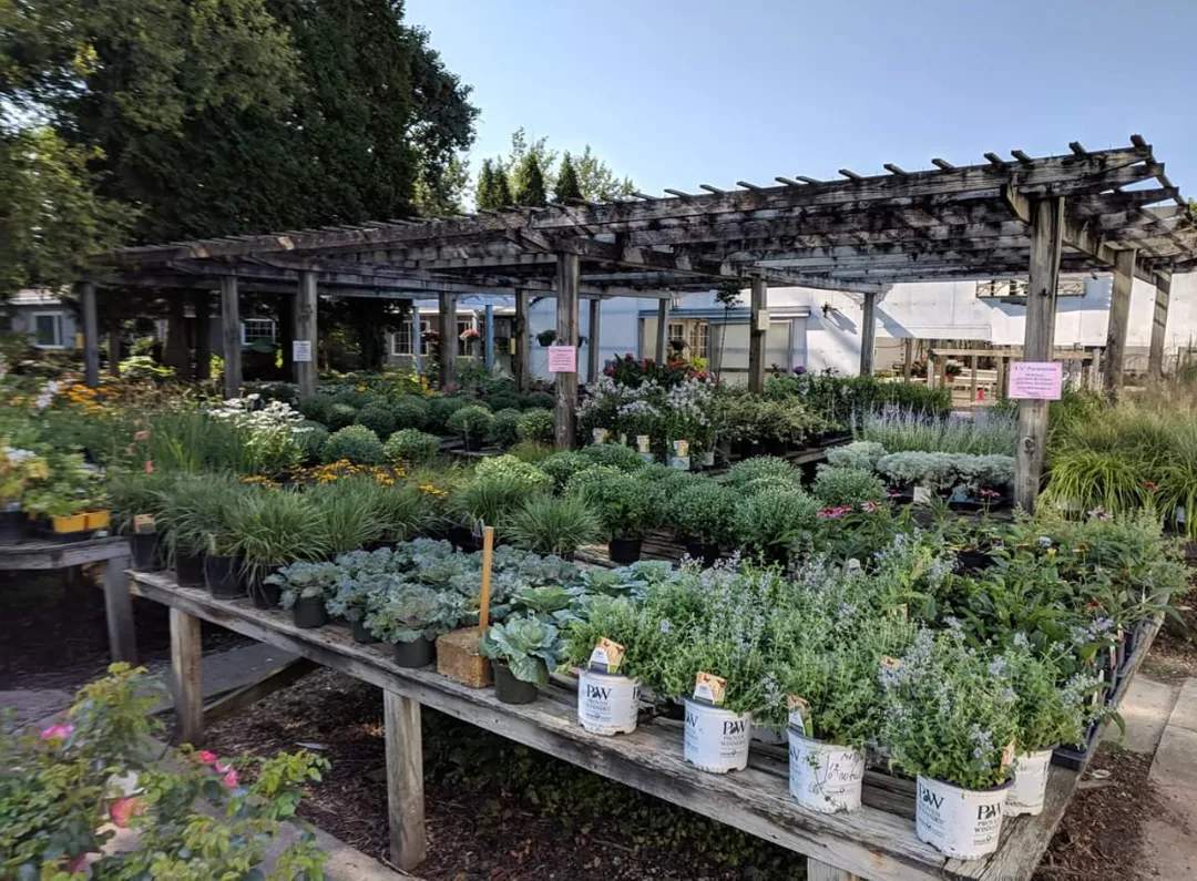 Moraine Gardens — photo 1