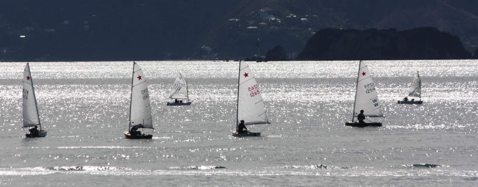 Worser Bay Boating Club — photo 1