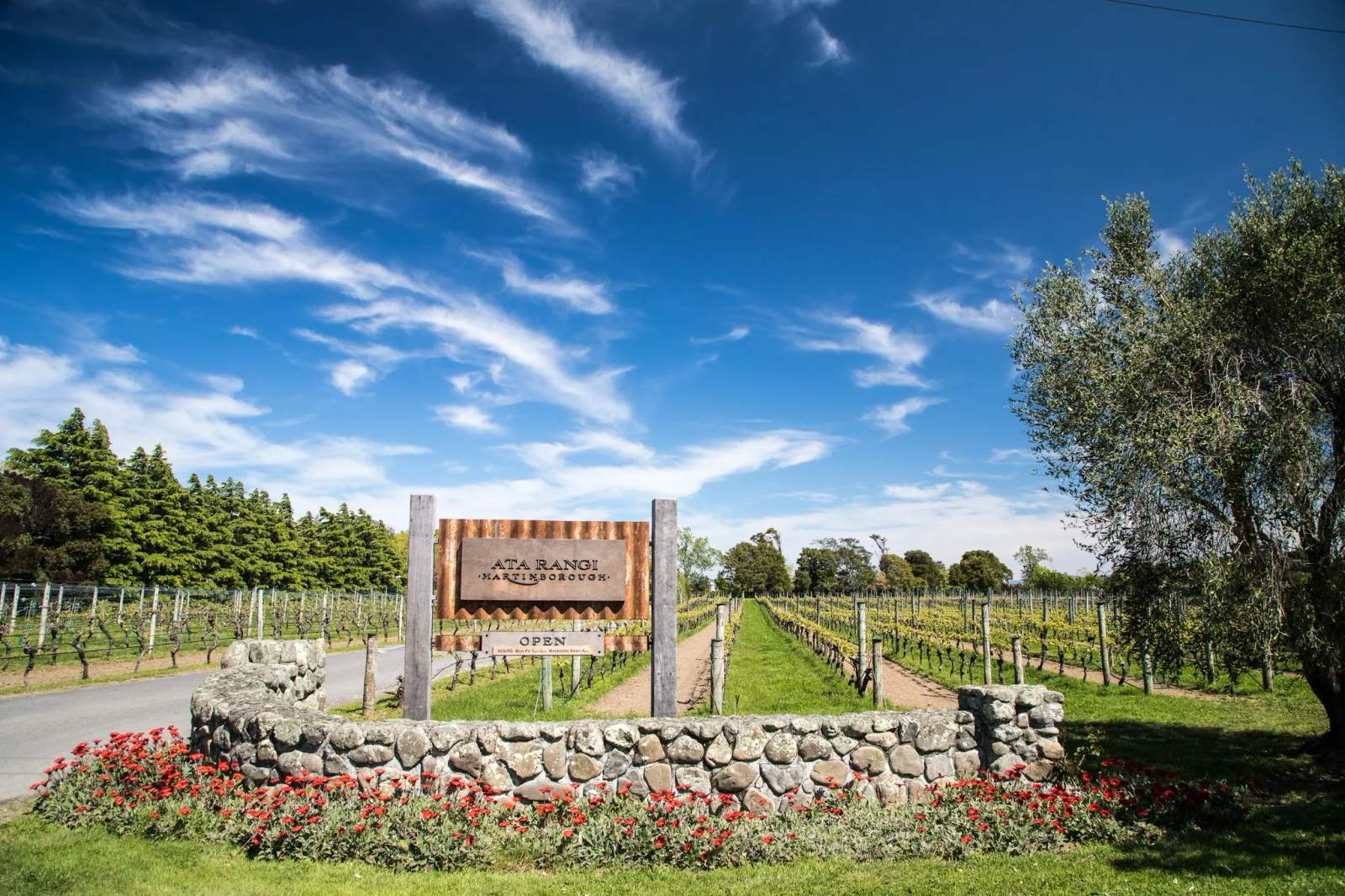 Ata Rangi - Vineyard & Winery — photo 3