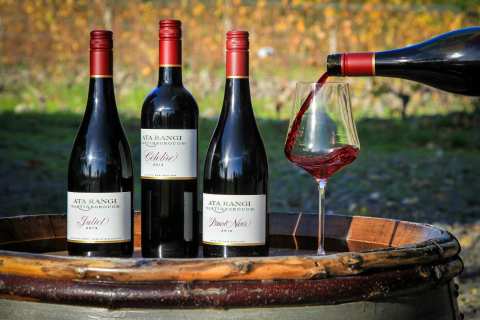Ata Rangi - Vineyard & Winery — photo 4