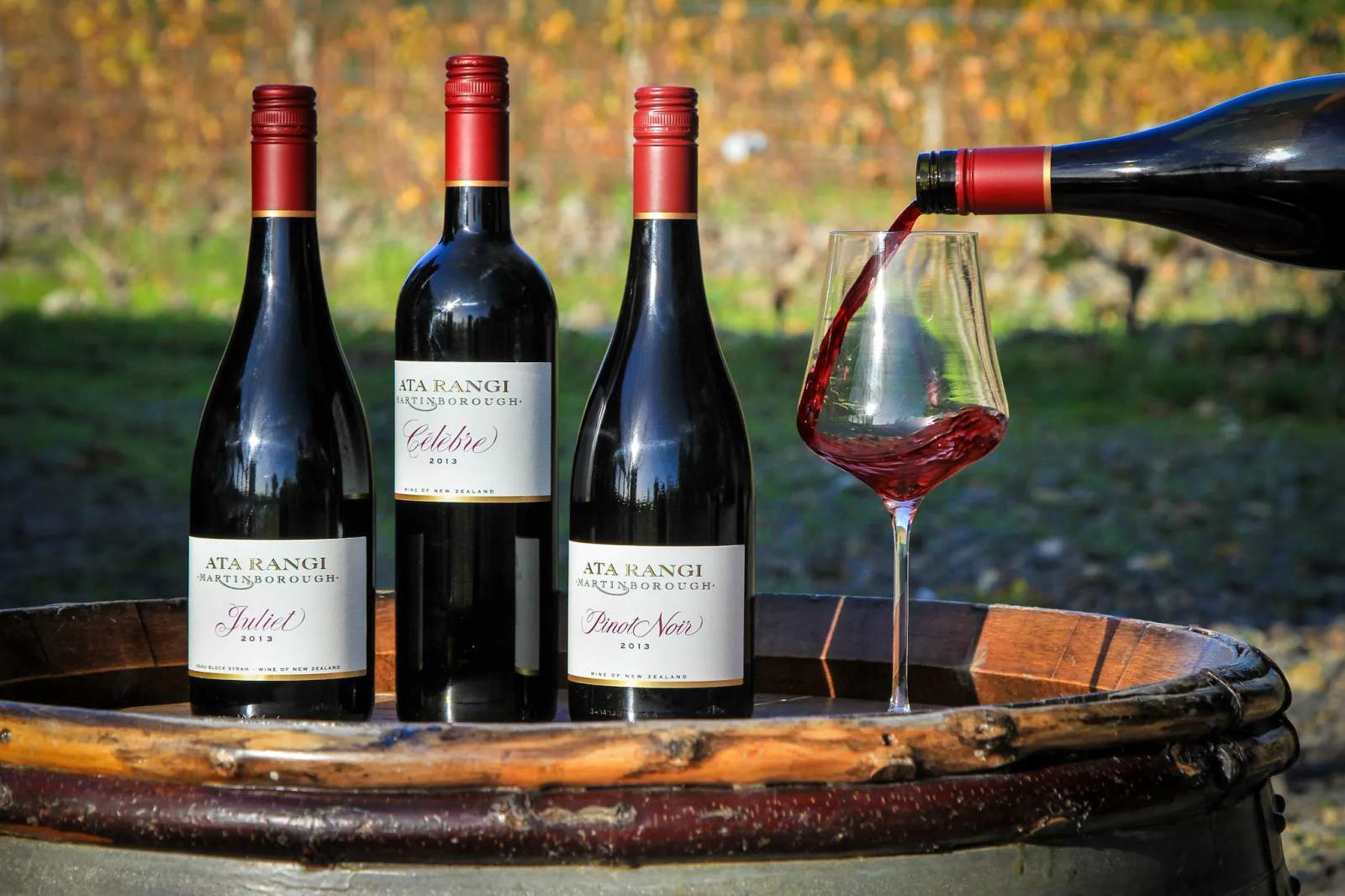 Ata Rangi - Vineyard & Winery — photo 4