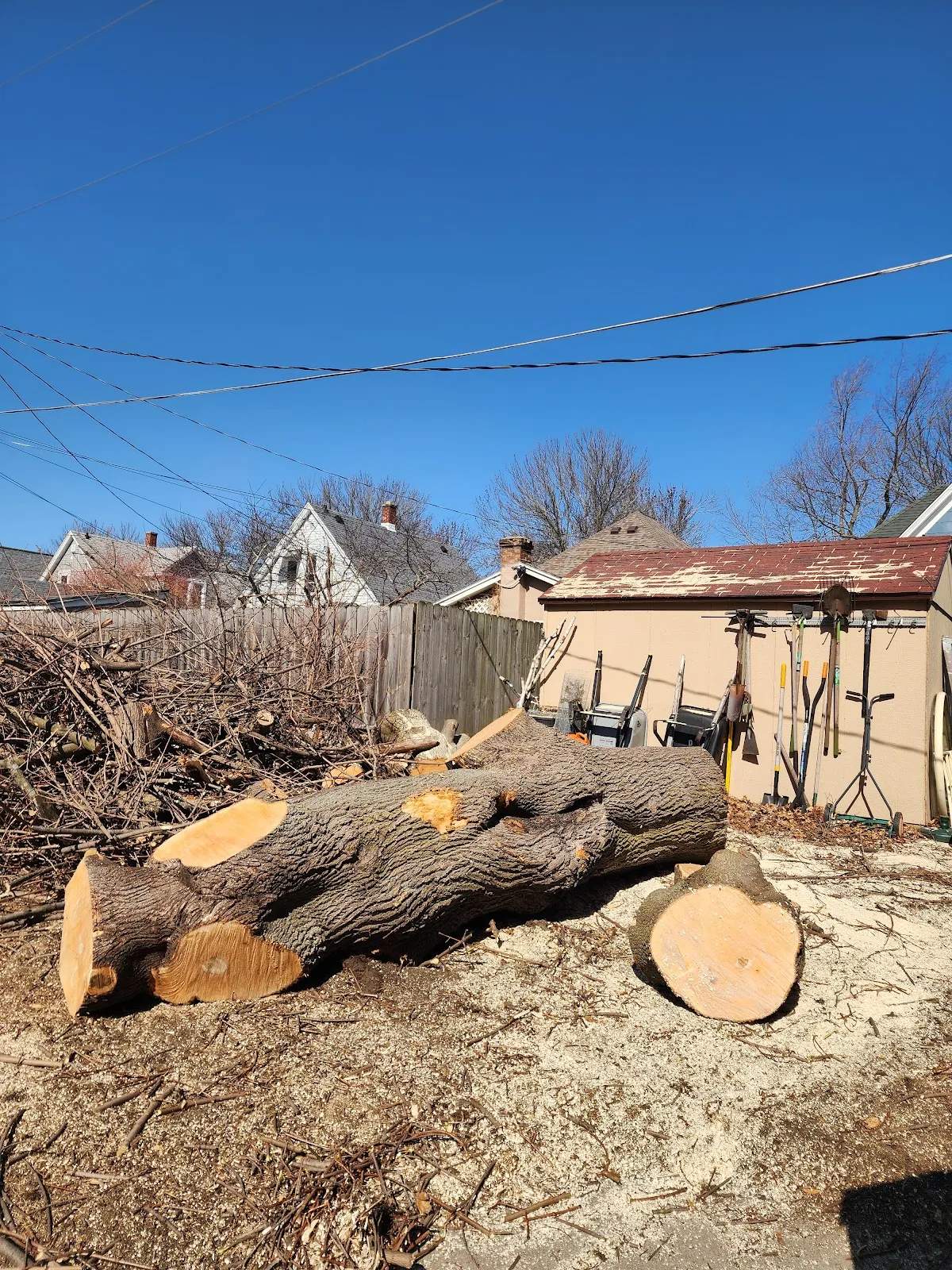 Lopez Tree Removal LLC — photo 1
