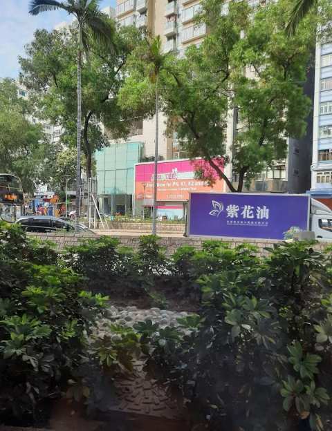 Aristle International Kindergarten — photo 3