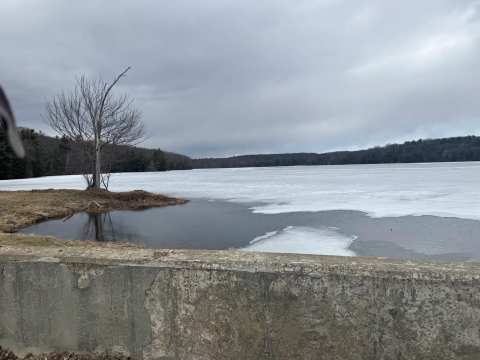 Wangum Lake — photo 2