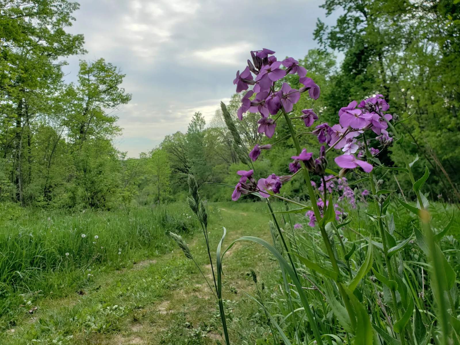 Willow Creek Preserve — photo 2