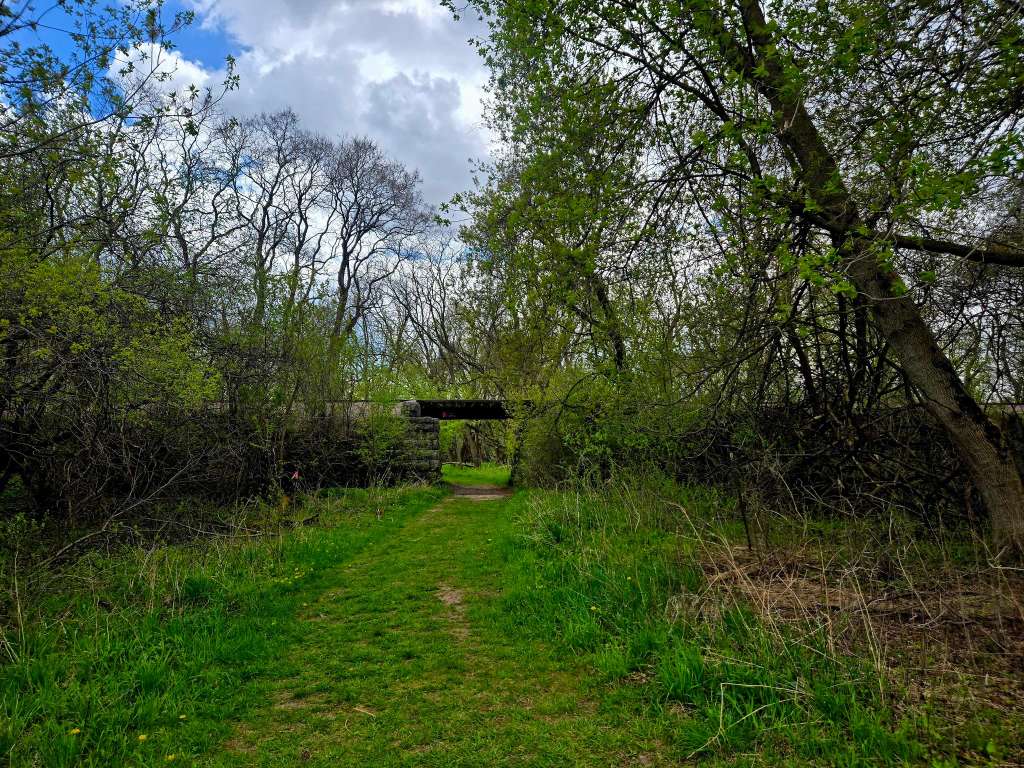 Dyeing to be at Willow Creek Artist Perspective through Textile & Mindful Walk