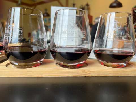Anchored Roots Vineyard & Winery — photo 2