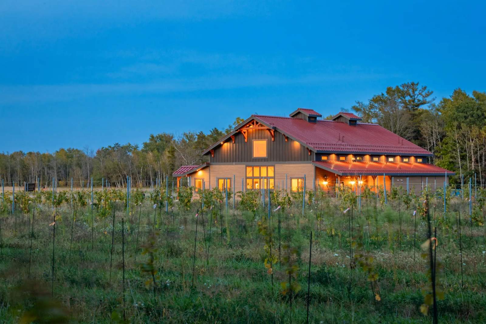 Anchored Roots Vineyard & Winery — photo 1