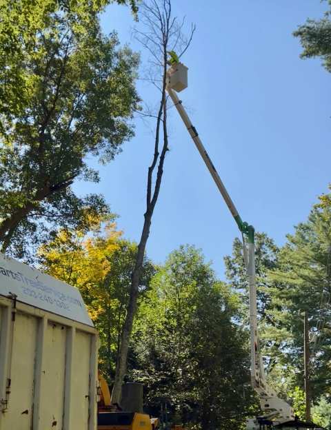 Barts Tree Service — photo 2