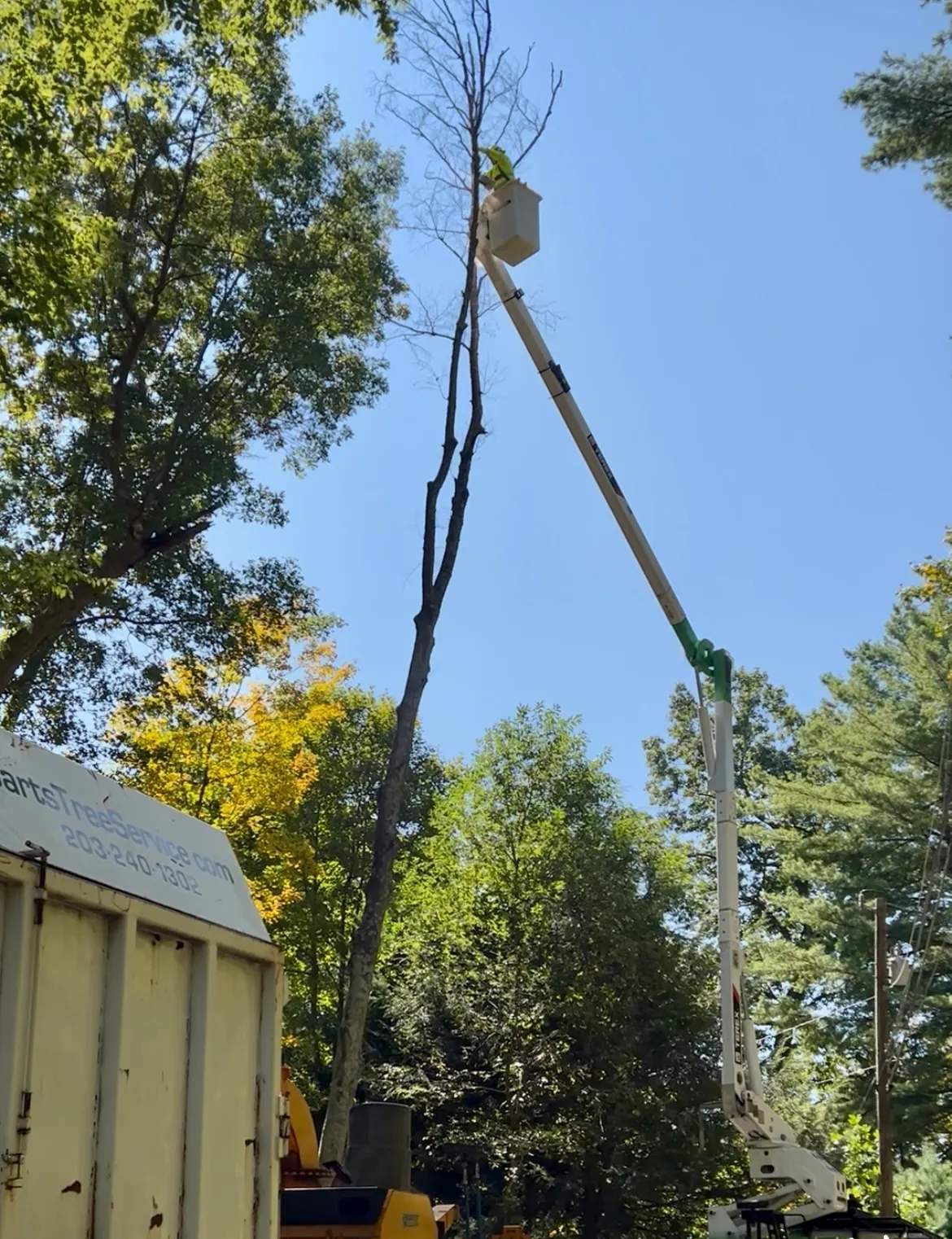 Barts Tree Service — photo 2