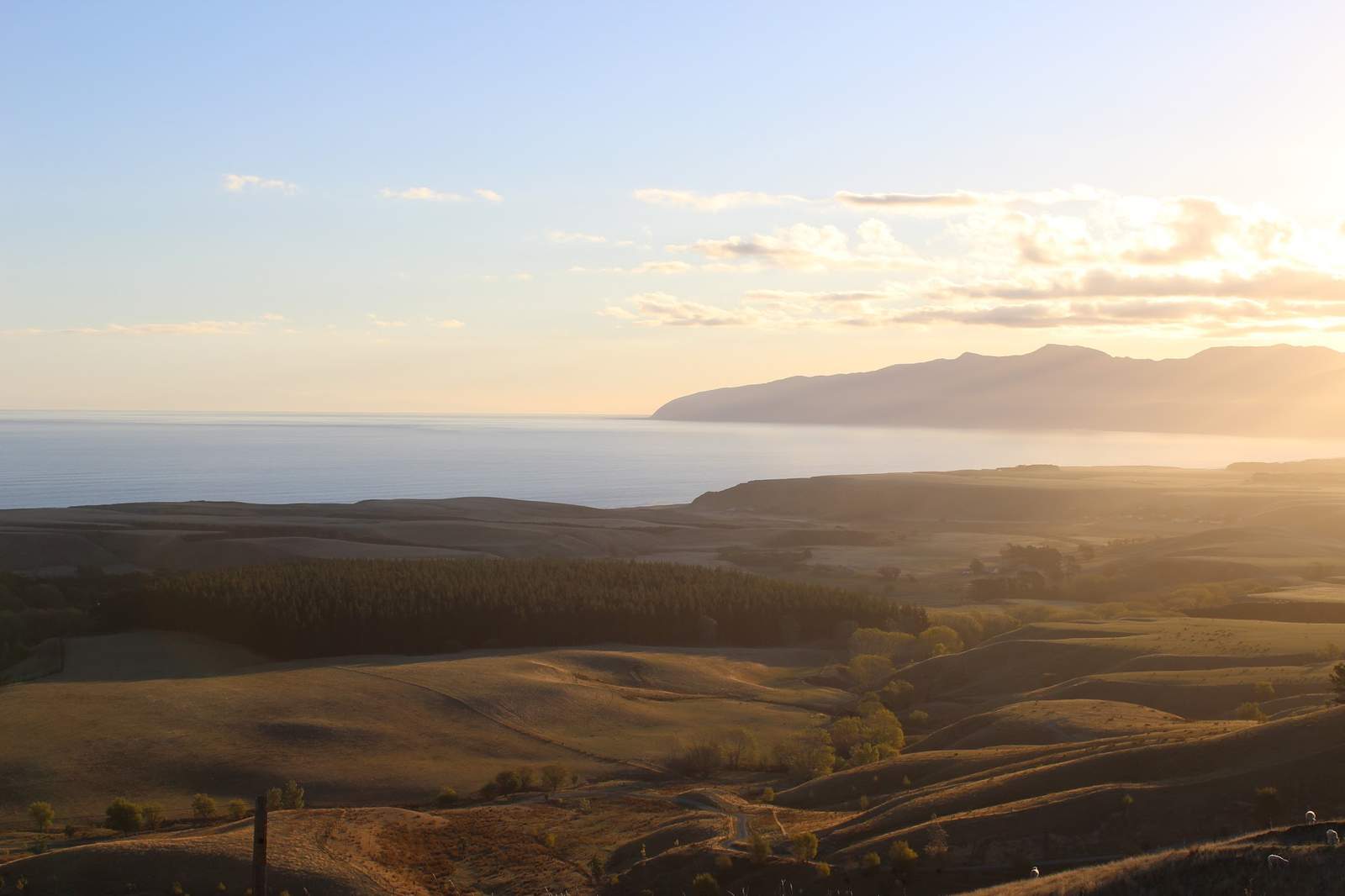Palliser Ridge – Sustainable Wool Farm & Luxury Throws | South Wairarapa — photo 1
