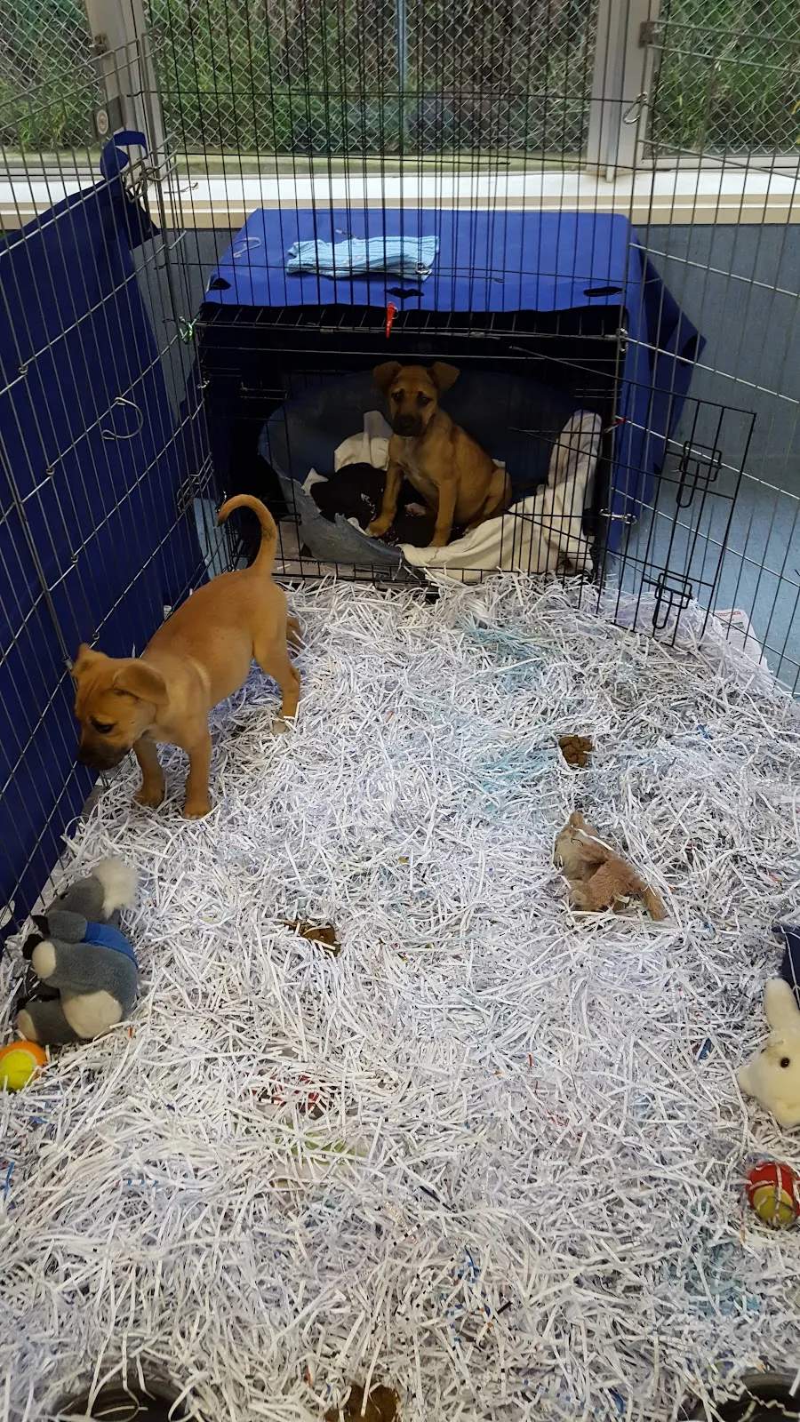 SPCA Wellington Centre — photo 2