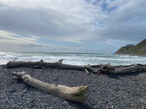 Mākara Beach — photo 2
