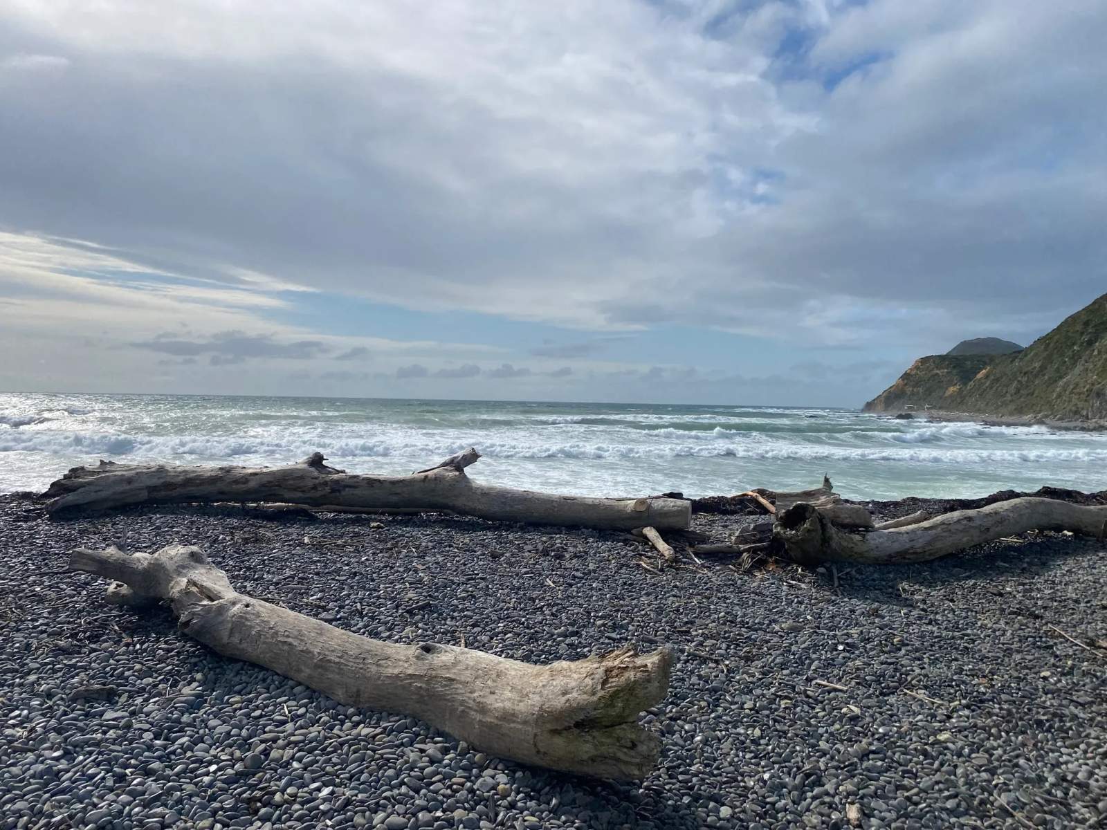 Mākara Beach — photo 2