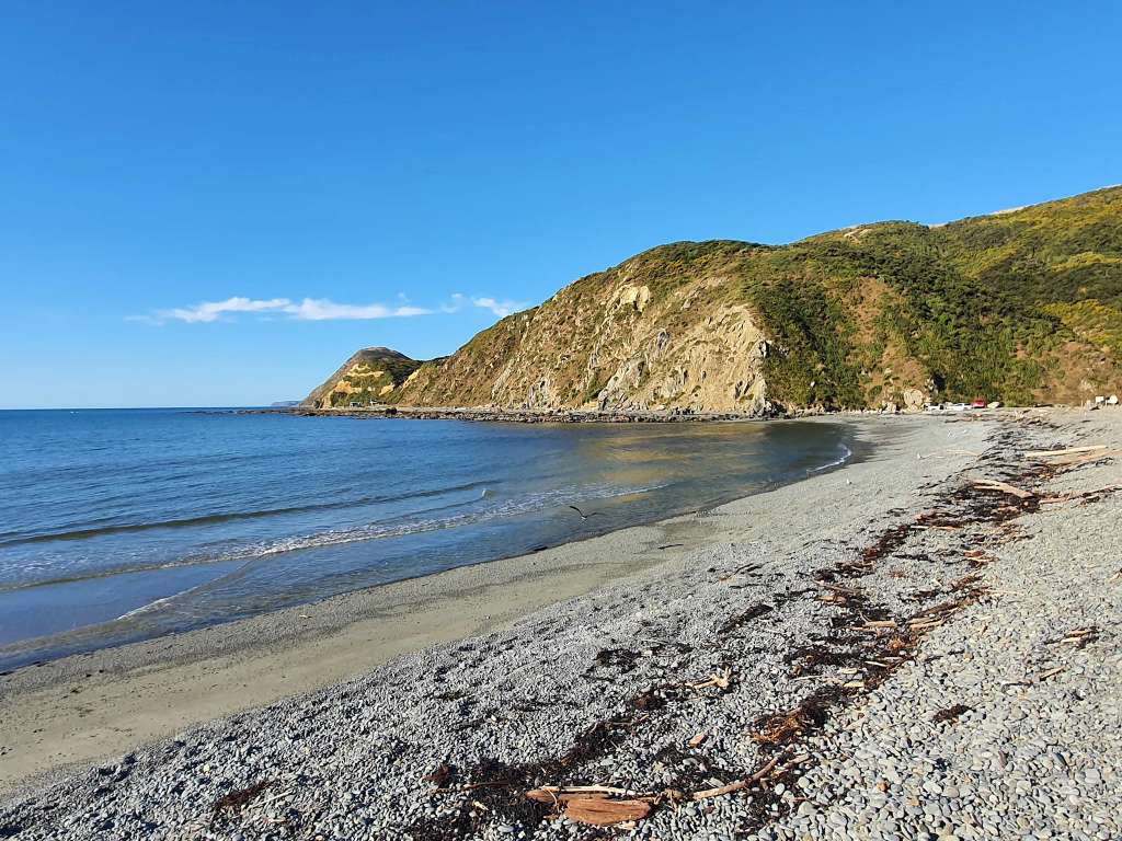Mākara Beach