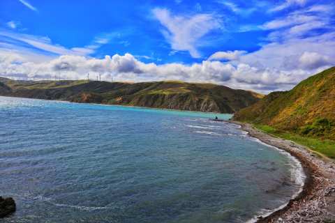 Mākara Beach — photo 3