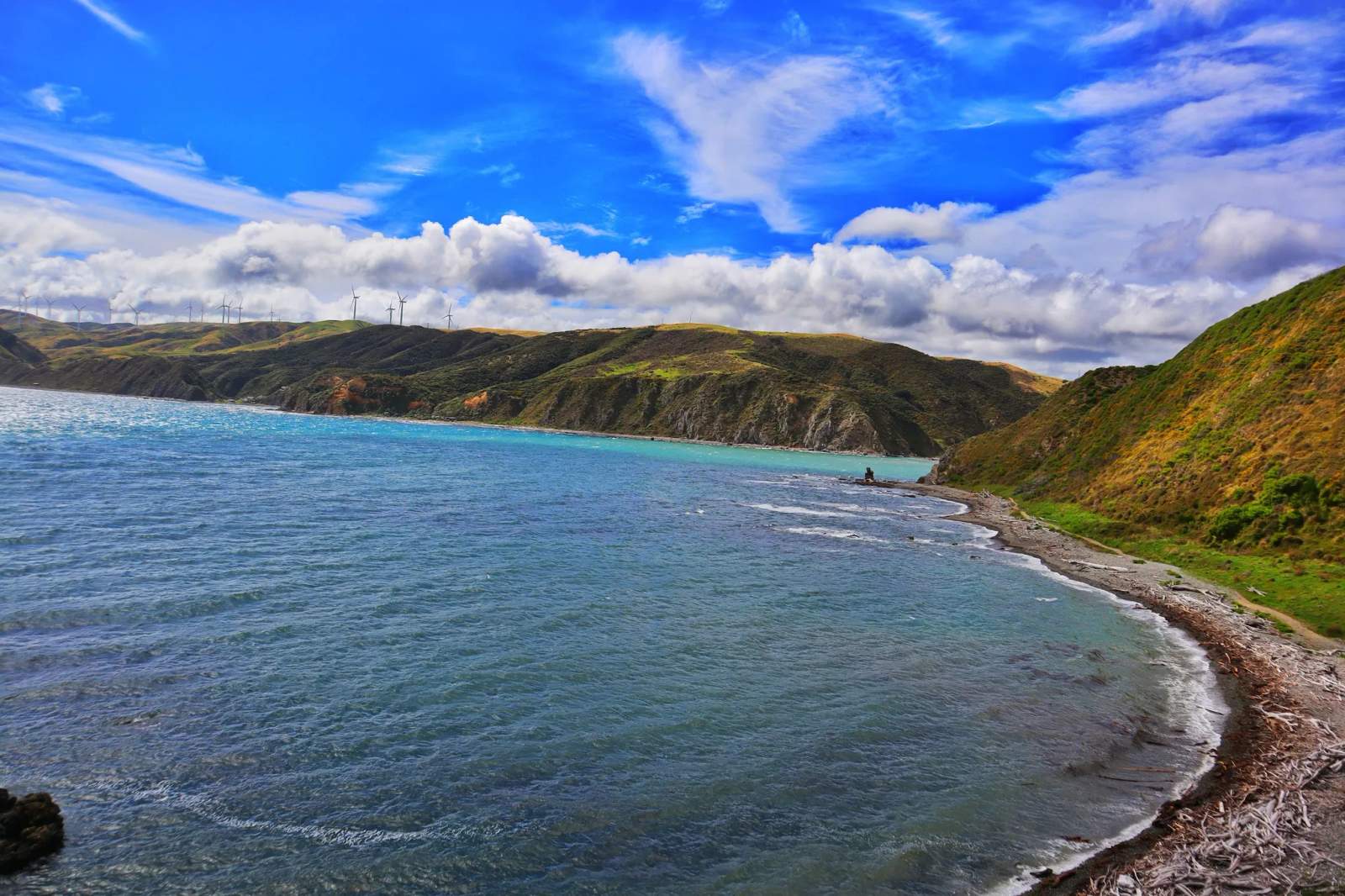 Mākara Beach — photo 3