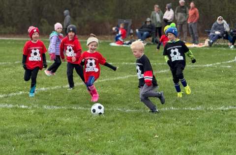 Franklin Community Education & Recreation — photo 2