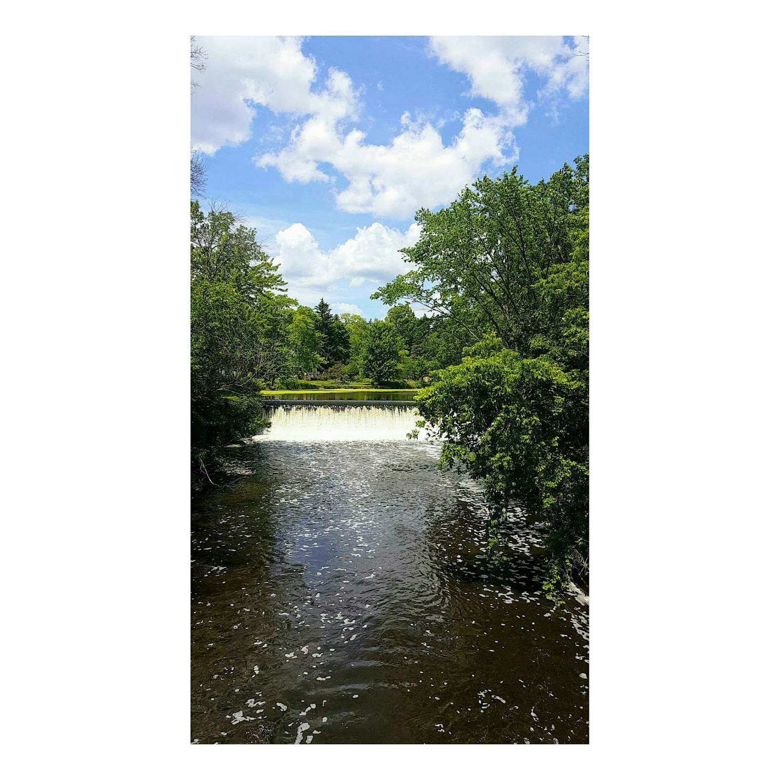 Boy Scout Park — photo 1
