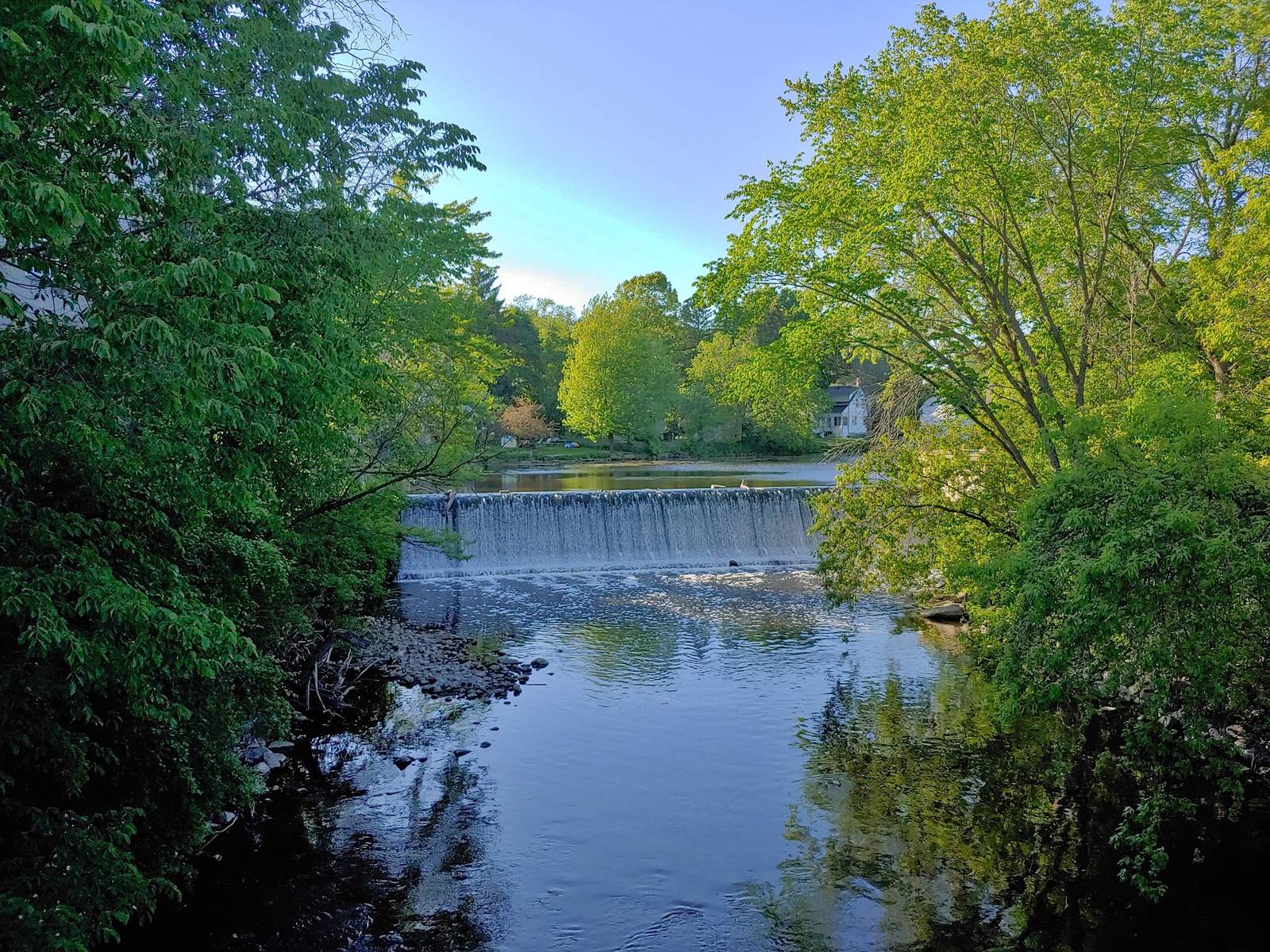 Boy Scout Park — photo 2