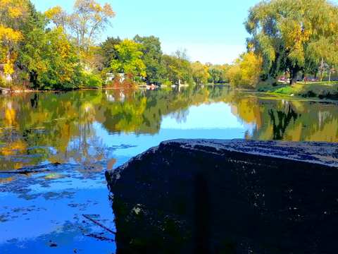 Boy Scout Park — photo 3