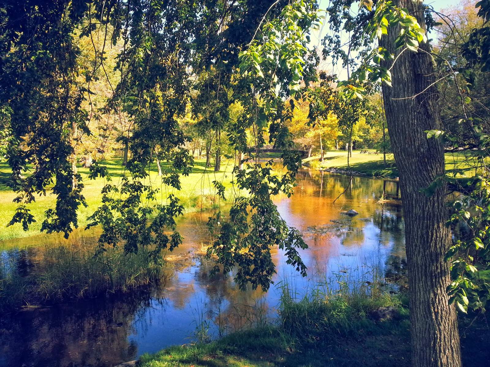 Boy Scout Park — photo 4