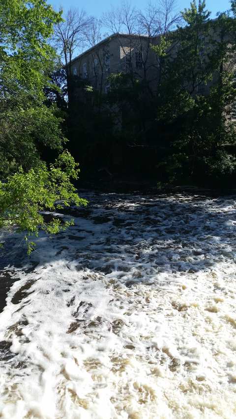 Boy Scout Park — photo 5