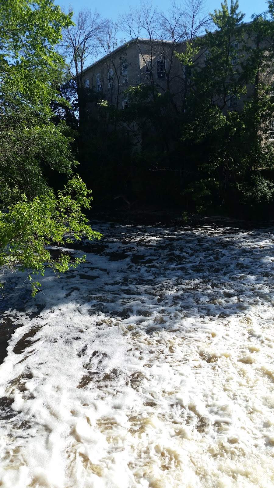 Boy Scout Park — photo 5