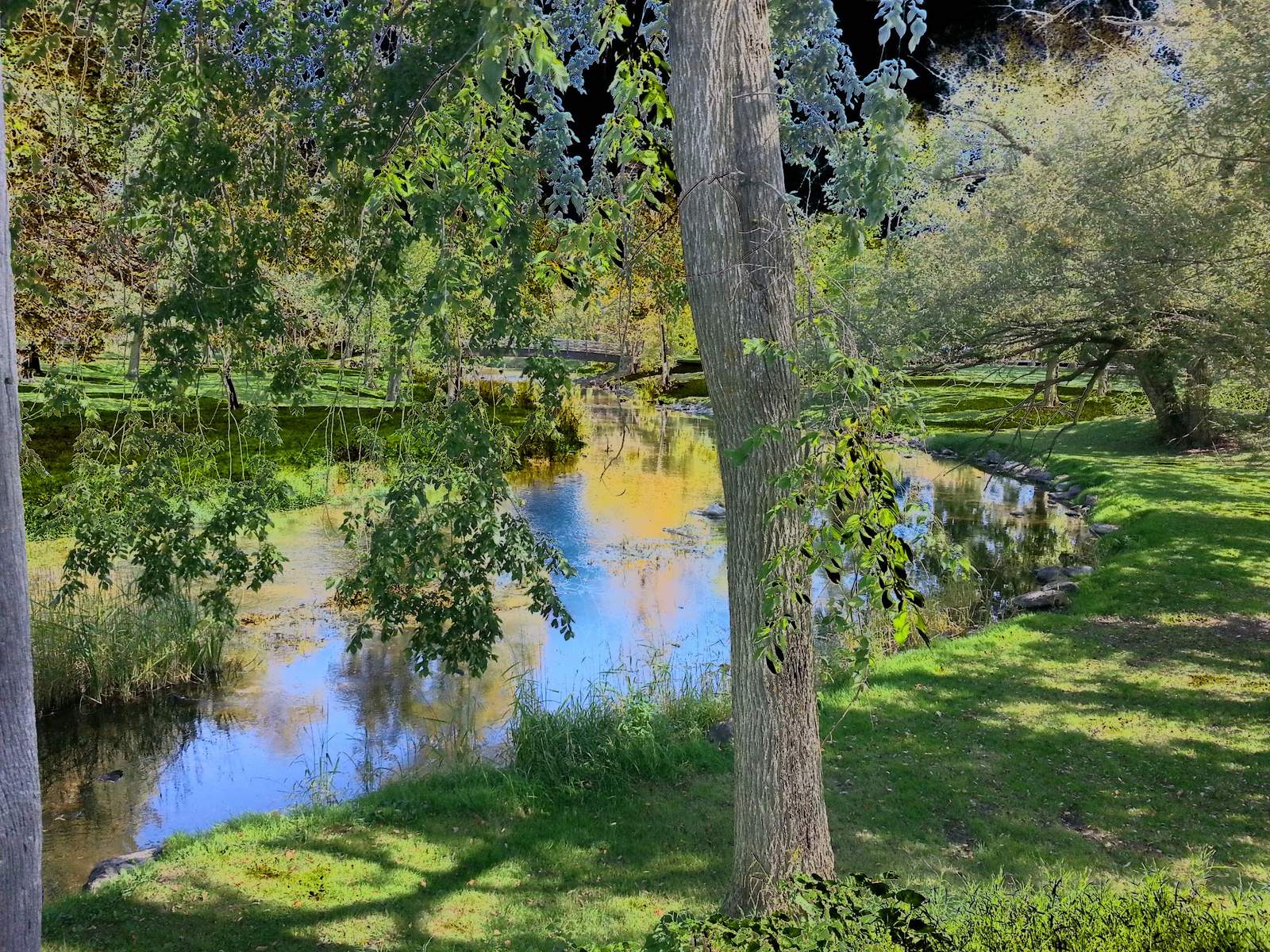 Boy Scout Park — photo 8