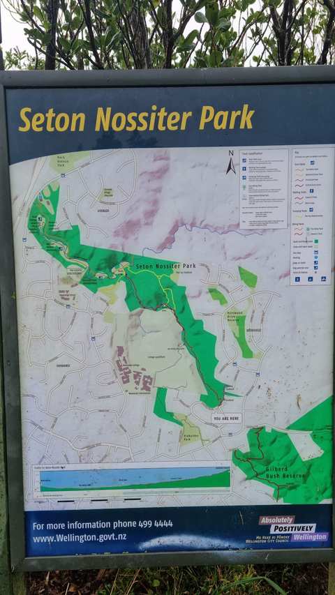 Lawson's Track, Seton Nossiter Park — photo 3