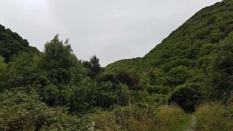 Lawson's Track, Seton Nossiter Park — photo 2