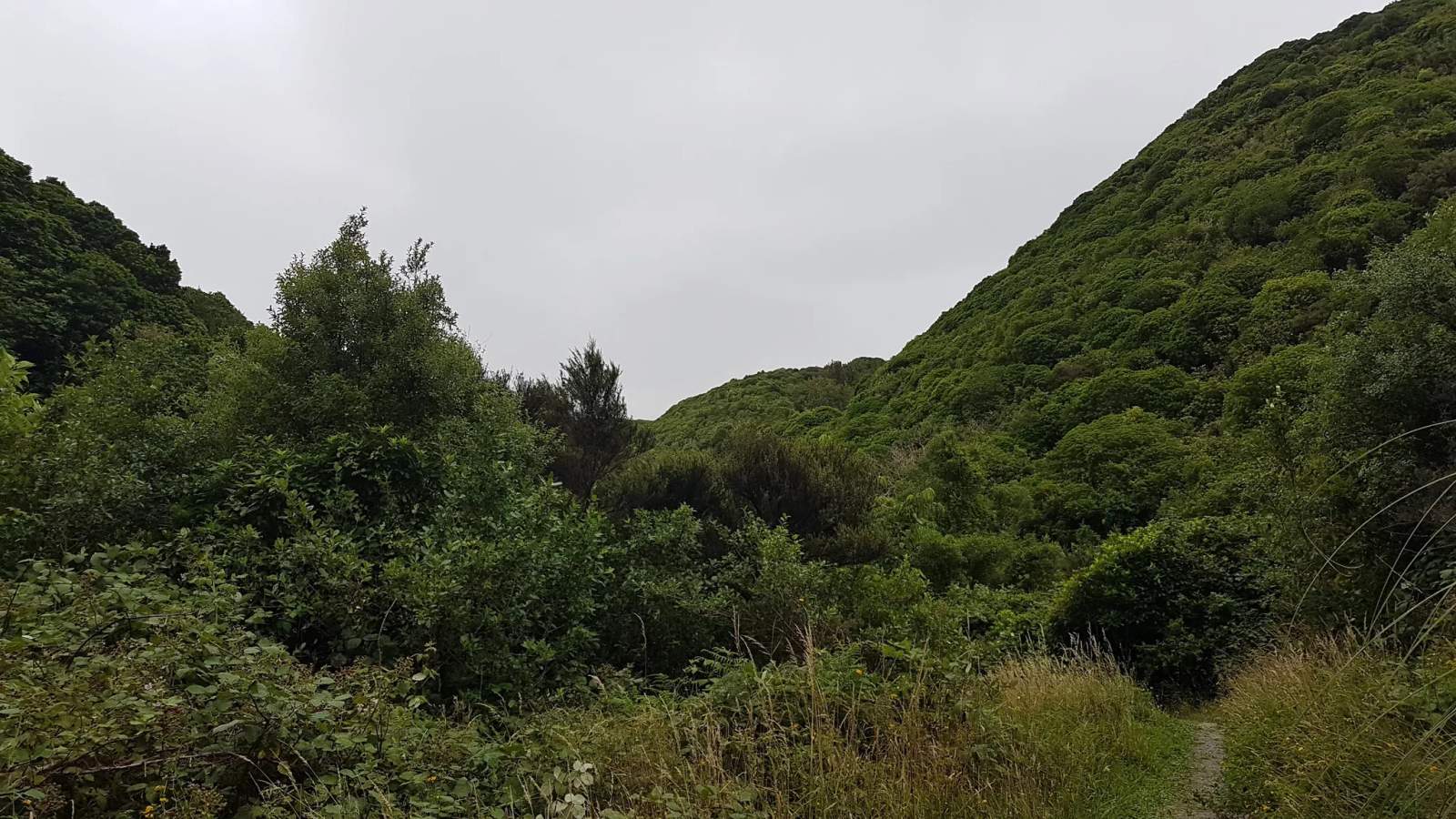 Lawson's Track, Seton Nossiter Park — photo 2