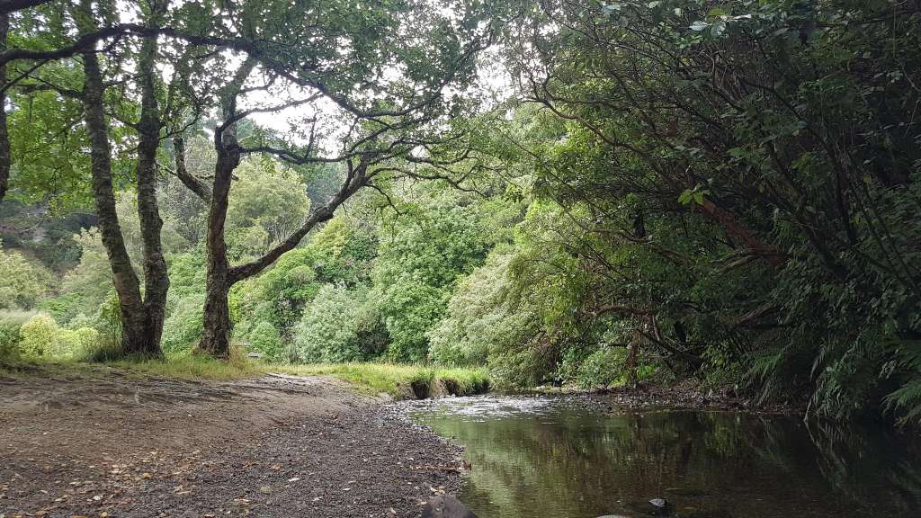 Lawson's Track, Seton Nossiter Park