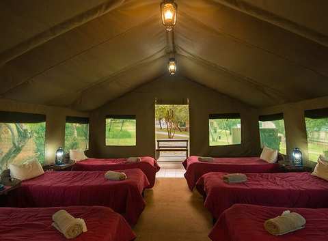 Bush Willow Tented Camp — photo 2