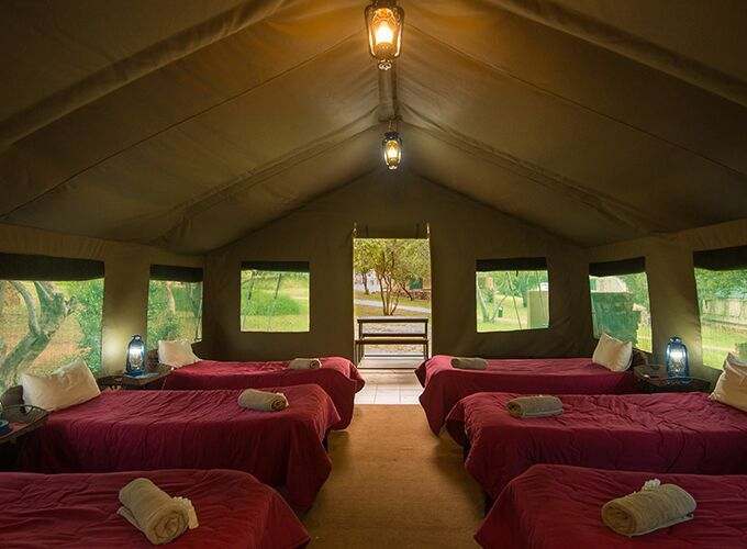 Bush Willow Tented Camp — photo 2