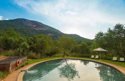 Bush Willow Tented Camp — photo 3