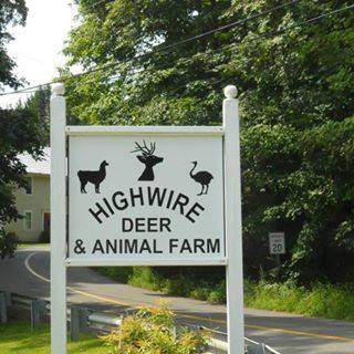 Highwire Deer & Animal Farm — photo 1