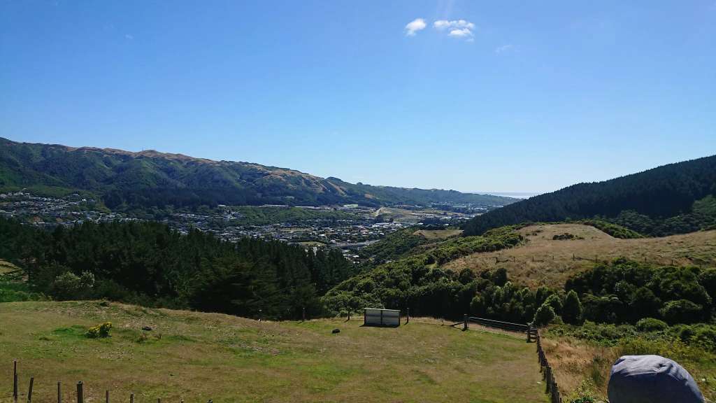 Wilf Mexted Scenic Reserve
