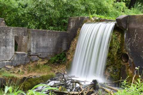 Paradise Springs Nature Trail — photo 4