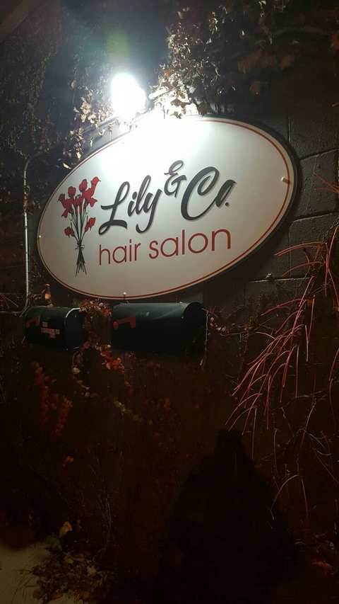 Lily & Co. — photo 2