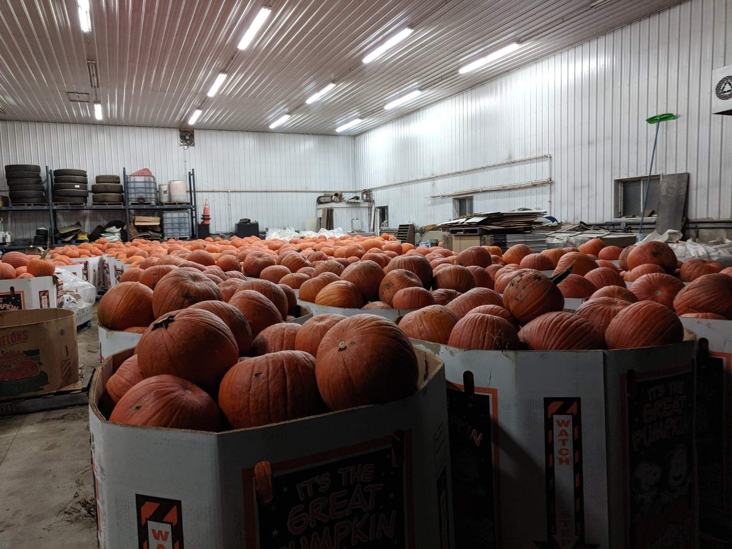 Logue Farms, Inc. — photo 1