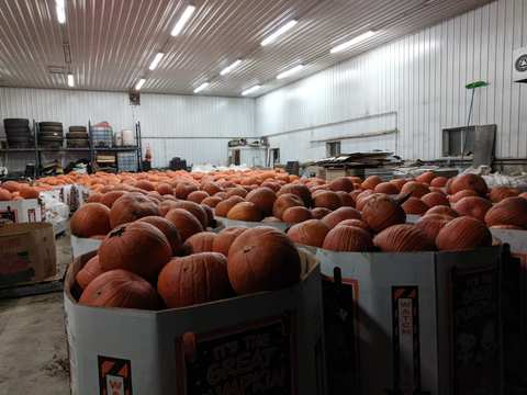 Logue Farms, Inc. — photo 2
